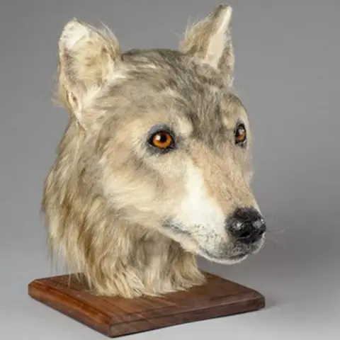 Historic Environment Scotland Neolithic dog's head