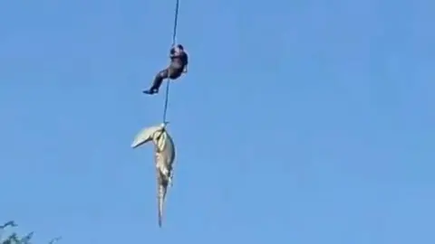 A grainy screen grab showing a rope with a crocodile on the end with a man holding on higher up