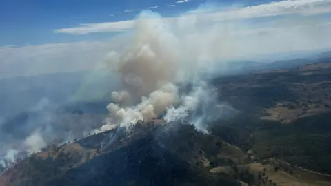 NSW RFS Smoke rises from the Alpha Road bushfire in NSW