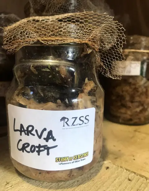RZSS Jar
