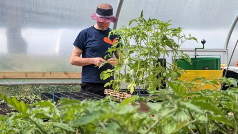 One of the team working in the greenhouse