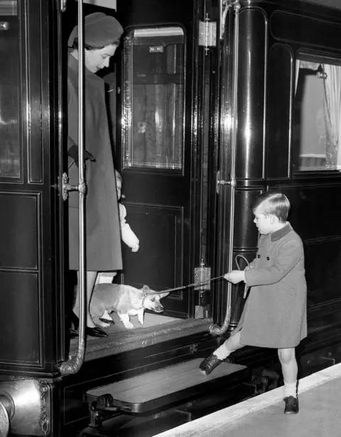 PA A 1966 black and white picture of Prince Andrew, a young boy in knee socks, encouraging a reluctant royal corgi to leave the train at Liverpool Street Station in London