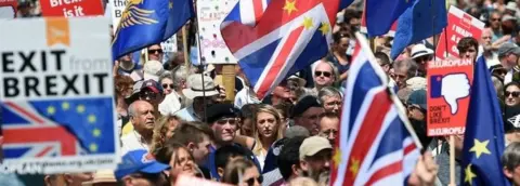 EPA Pro-EU protesters