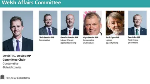 House of Commons MPs on the Welsh affairs committee