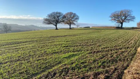 BBC A picture of farmland