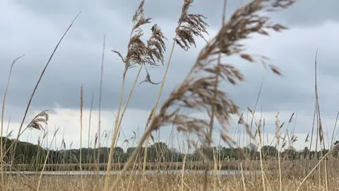 Hannah Claytor-Scott The reserve