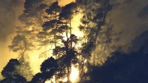 Derby Mountain Rescue Team Trees on fire