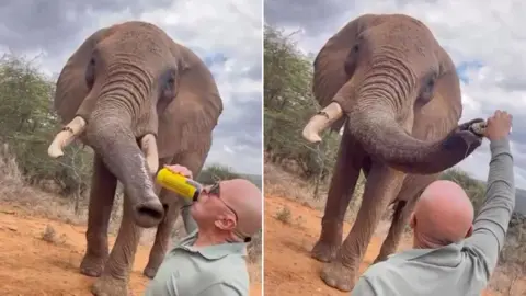 skydive_kenya / Instagram Two screengrabs showing a  clean-shaved tourist, wearing a grey T-shirt and shades, drinking a can of beer in the left image and pouring the liquid down an elephant's trunk in the right image.