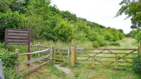 A closed wooden gate that is the entrance to a woodland. There is a brown, wooden sign on the left and green trees on either side of the grass path that is behind the gate. 