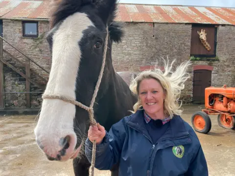 Vicky smiles at the camera she wears a blue coat is holding on to Swift a large black Shire horse with a white stripe down the mare's nose.