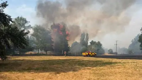 Plumes of grey smoke rising from fields behind a row of trees. Orange flames are visible among the trees and there is a fire truck parked in the foreground.