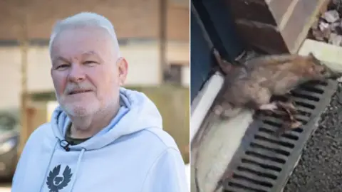 A man with grey hair in a white hoodie. Next to a picture of a brown rat pictured sitting on tarmac next to a person's home, next to a patch of gravel