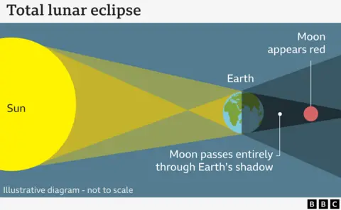 

A dark central shadow where the Moon appears red due to the scattering of sunlight in Earth's atmosphere.

Penumbra (lighter outer shadow), where only partial shading occurs.

The Moon is shown on the right, appearing red due to the total eclipse.

The BBC logo is present, and a note states that the diagram is not to scale.