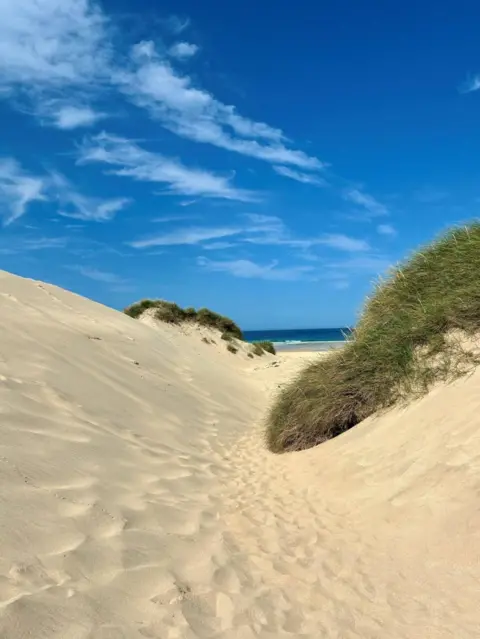 Eilidh McLaggan Sandy path winding through coastal dunes toward the sea.