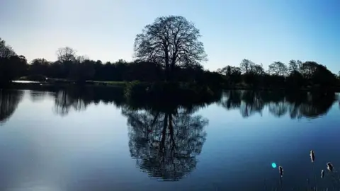 A clear lake with blue skies above and trees silhouetted in the water