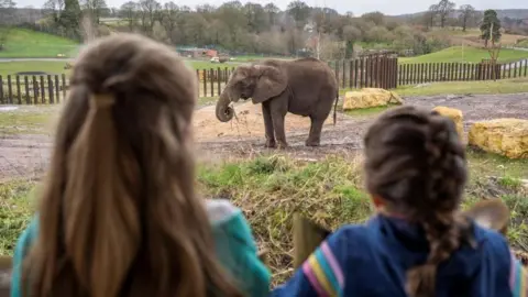 West Midlands Safari Park Children looking at an elephant