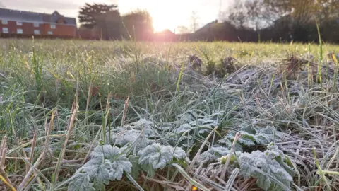 Icy grass can be seen close-up with a low sun in the background. 