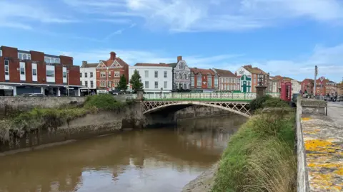 Bridgwater River Parrott with a old bridge crossing the river with houses in the background.
