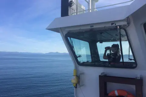 Orca A female marine animal surveyor stands on the bridge of a Cal Mac ferry and scans the sea using a pair of binoculars.