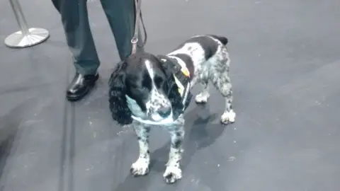 Tower Hamlets Council Buster the security dog