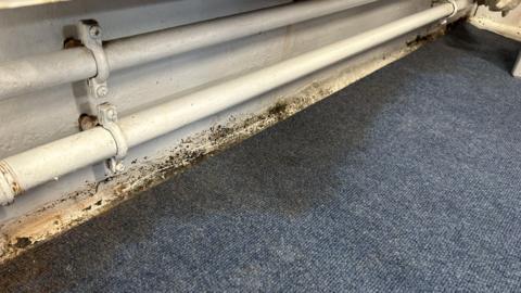mould at Spring Gardens Primary School in North Tyneside