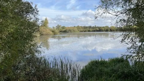 A photo of a wetland lake from the shoreline