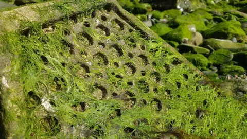 Environment Agency Eco-block