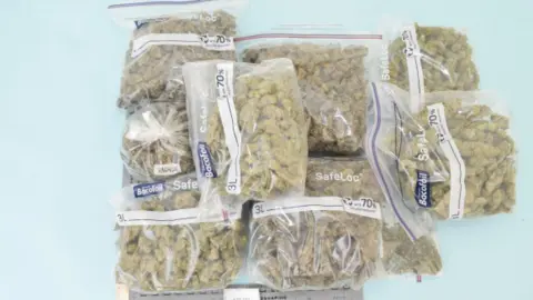 West Yorkshire Police Several clear plastic bags filled with what appears to be dried plant material, all arranged on a flat light‑blue surface.
Beneath the bags, a photographic scale ruler is partially visible. The bags are neatly stacked and spread out so that each one is visible.