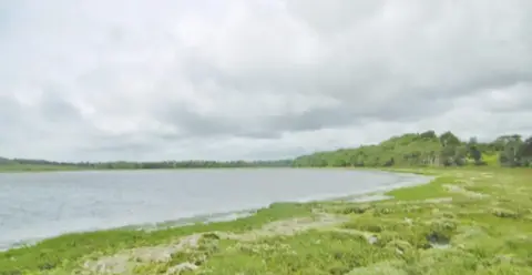View across Arne Bay - a deserted sweeping cove surrounded by green salt marsh and trees