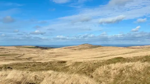 Moorland in Dartmoor looking north towards High Willhays