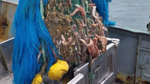 George Stevens A man in yellow waterproof gear looks at a blue net full of octopus, with some tentacles and suckers poking out from the net's holes