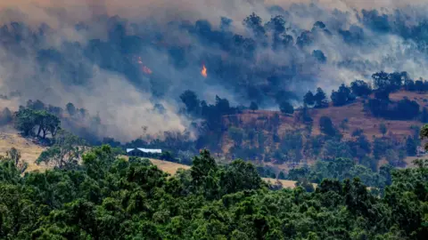 AAP/Michael Currie via REUTERS A fumaça sobe de uma floresta em chamas em uma encosta atrás de uma casa perto de Longwood enquanto os incêndios florestais continuam a queimar sob condições climáticas severas.