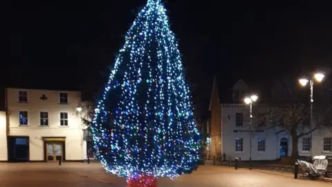 Ely City Council Christmas Tree