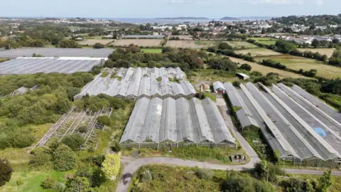 BBC A field full of greenhouses from the sky, surrounded by green fields and some greenhouse debris. 