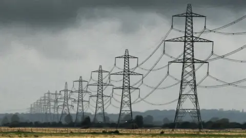 larigan - Patricia Hamilton/Getty Images Pylons