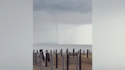 Chris Cottrell A brown and white horse in a paddock with a grey sky and sea behind a. A water spout can be seen going up to the sky in the background.