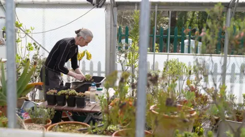 BBC/Gwyndaf Hughes A man in a plant nursery