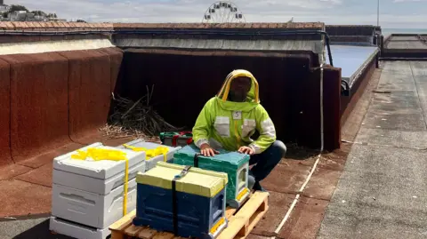 Bee Mission Serge in a high-viz beekeeper suit crouching in front of boxes of bees on the roof.