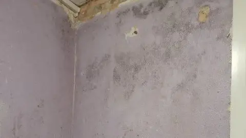 Mouldy walls