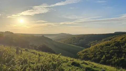 Robin Pickering MONDAY - Compton Abbas at Sunset