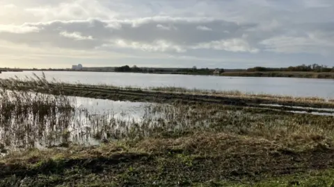 Guy Campbell/BBC Minsmere reserve in Suffolk