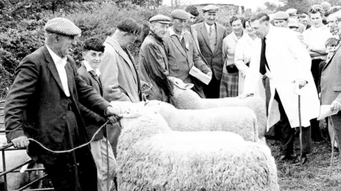 The Southern Show A black-and-white photo of people showing sheep, a young lad looks at the camera and smiles , and an older farmer with a flat cap smokes a cigarette. 