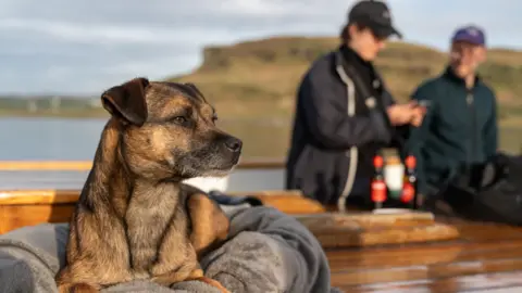 Kim and Del Hogg A black and tan dog lies in the sun on the deck of a traditional wooden sailing ship. 
