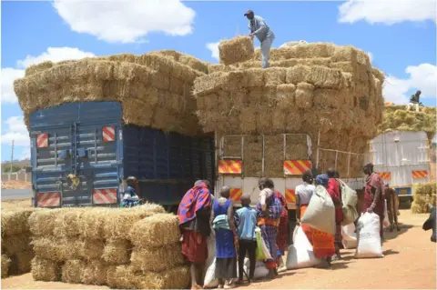 AFP Women lining up by trucks filled to the brim with brown barley.