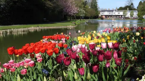 Colourful array of tulips planted into a flower bed next to a body of water. In the distance is a white house with trees surrounding it.