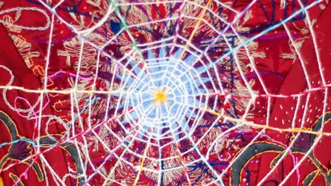 Sophia Schorr-Kon A close up of some embroideries from The Red Dress