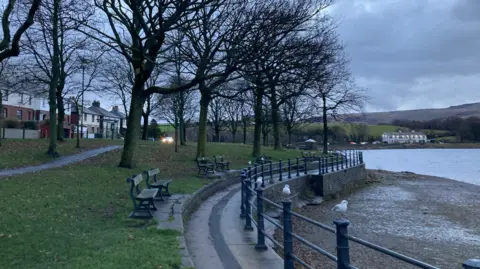 LDRS Hollingworth Lake. To the left there are trees lining and path and benches looking onto the lake, set back by a path and black railings. In the background to the left there are homes. To the right behind the lake there are trees in the foreground and hills in the background.