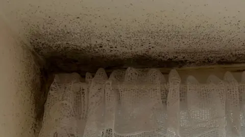 John Devine/BBC Black mould on the inside of a UPVC window frame, with a lacy net curtain hanging over the window.