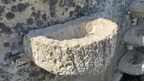 Vertipool/artificial rock pool attached to the grey seawall. It is attached with silver bolt and metal strand. There are shells inside the concrete basin.