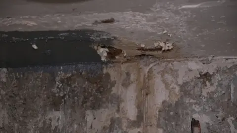 A close-up image of severe water damage to a ceiling, showing brown stains and flaking paint 